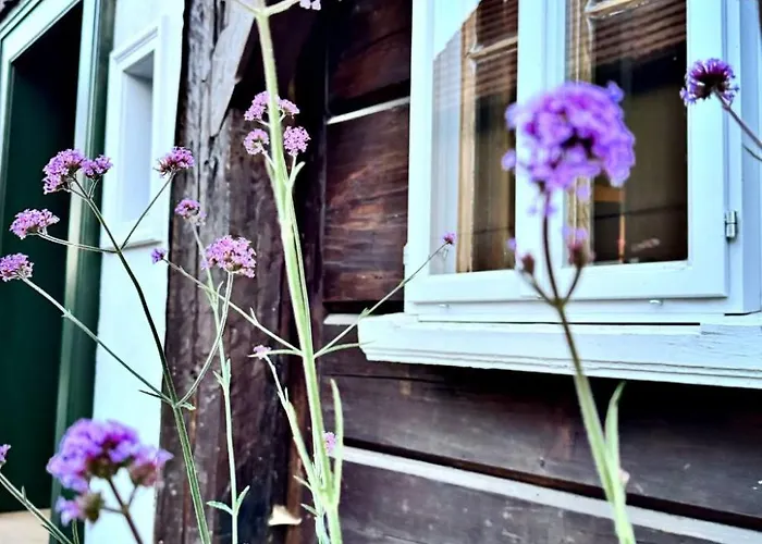 Neu! Daserbhaus By Interhome